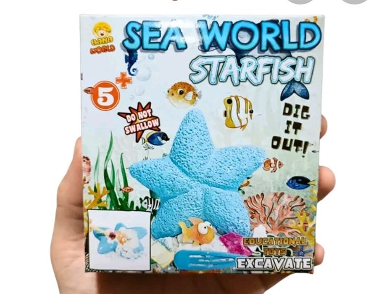SAO BIỂN (Starfish)