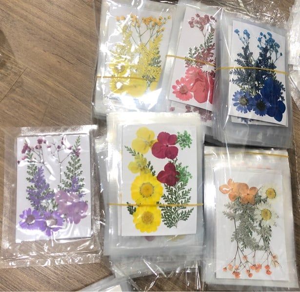 Set hoa khô 10 pcs