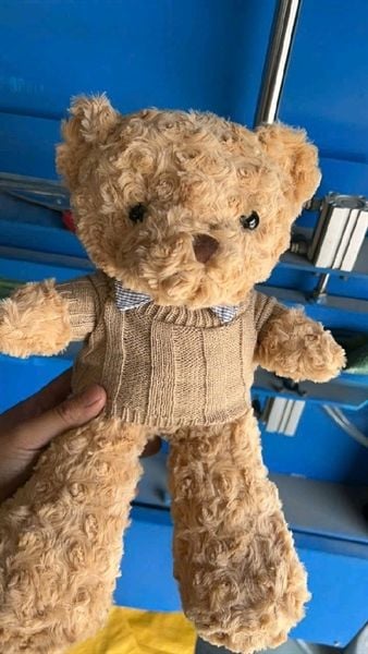 Gấu Bông Teddy 30cm