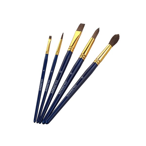 Bộ 5 cây cọ vẽ màu nước
