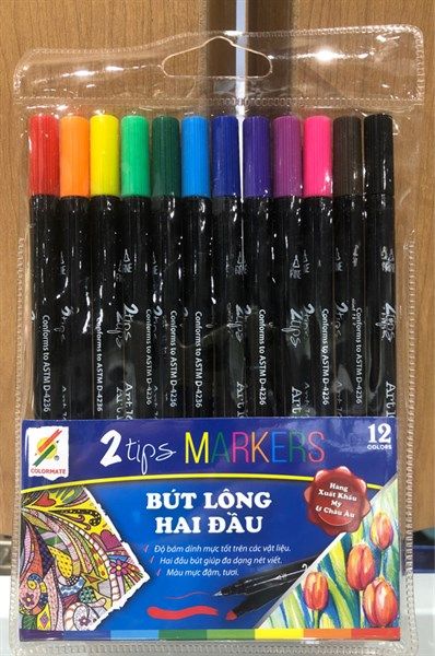 Bộ 12 cây bút lông 2 đầu-Colormate