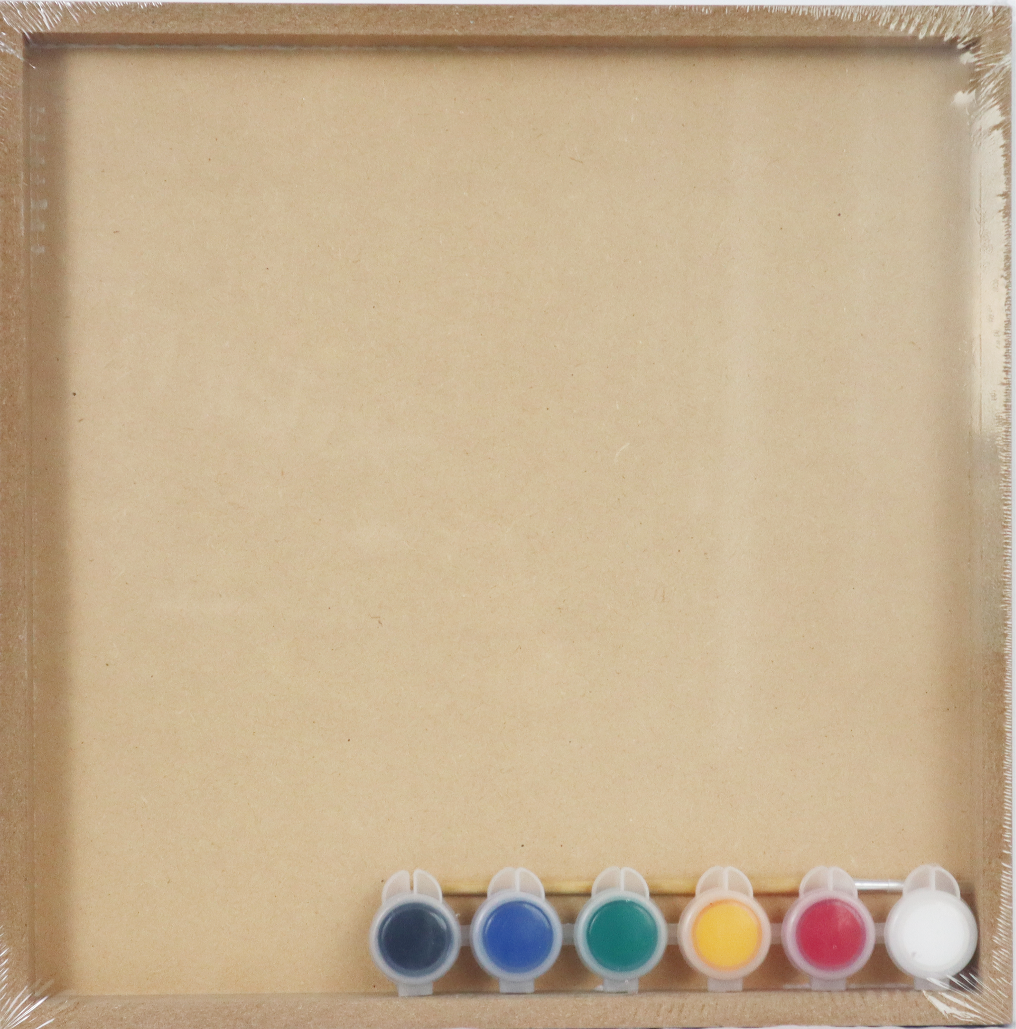 Canvas Gỗ Tô Màu 12x12-Colormate