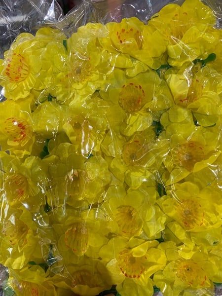 Hoa Tết vải bịch
