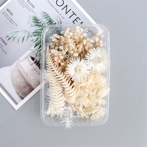Set Hoa Khô Hộp Màu Trắng