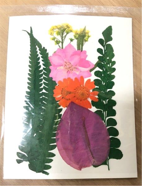 Set hoa khô 10 pcs