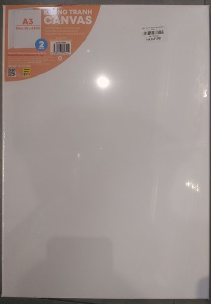 Bộ 2 khung tranh canvas A3