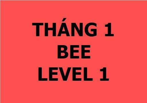 Lớp vẽ cơ bản - Tháng 1 - Level 1