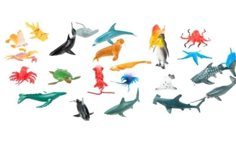 SINH VẬT BIỂN (Sea World)