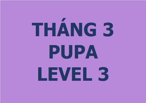 Lớp vẽ trung cấp II - Tháng 3 - Level 3