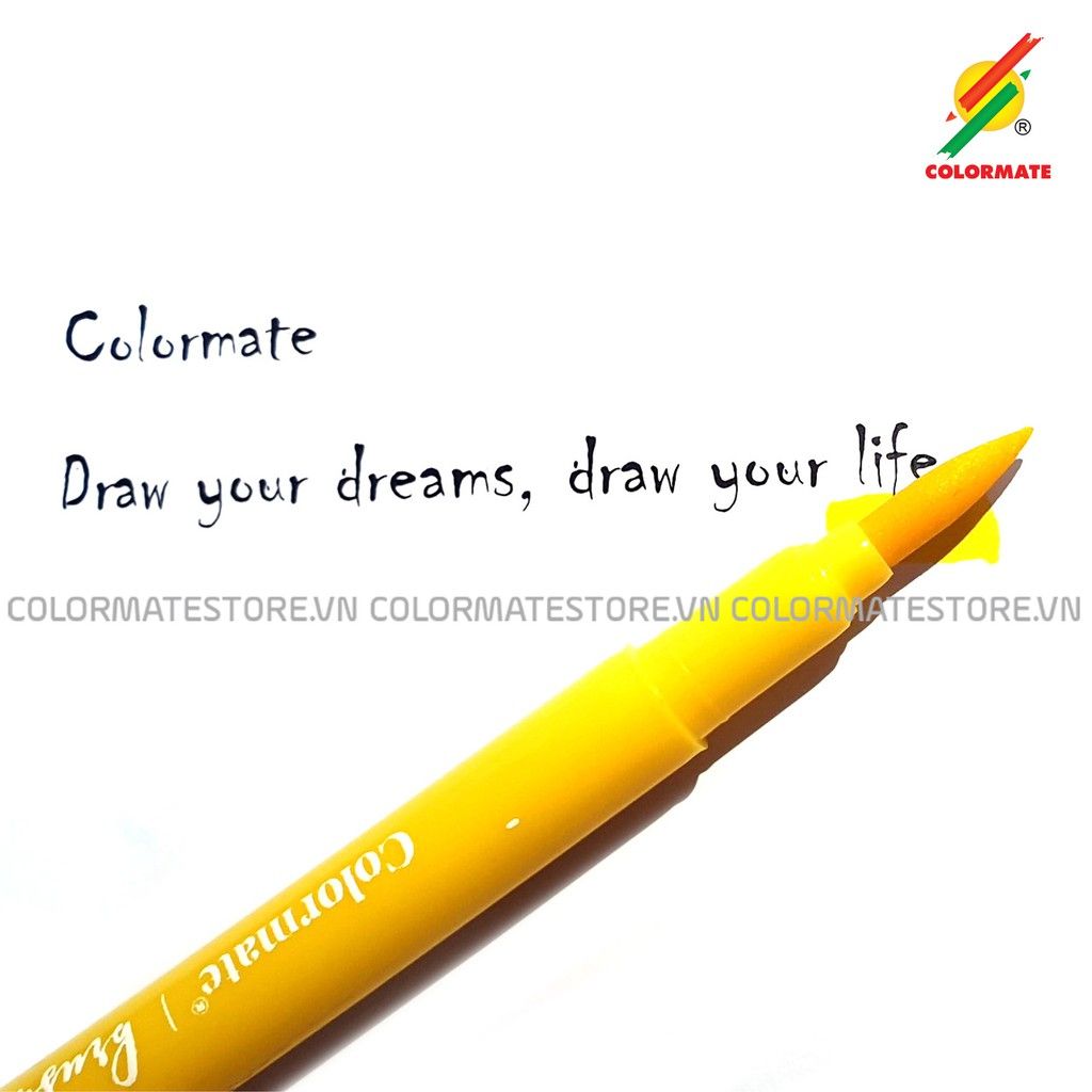 Bộ 12 Bút Lông Đầu Cọ Màu Nước Brush Pen-Colormate