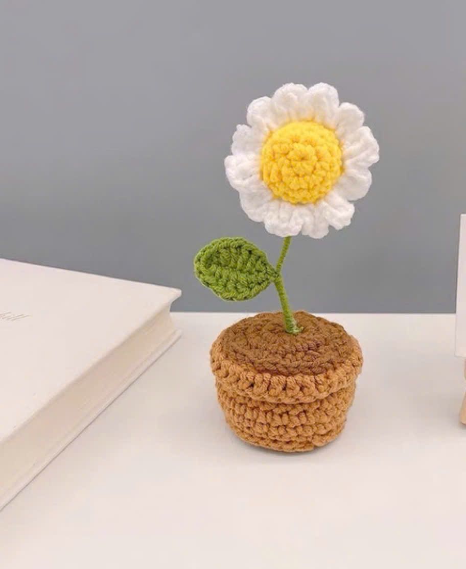 Bộ Diy Đan Len Chậu Hoa Nhỏ Màu Hồng