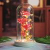 Hoa Hồng 3 bông đa sắc lồng thủy tinh đế gỗ đèn led- quà tặng sinh nhật người yêu - lễ tình nhân - quà lưu niệm
