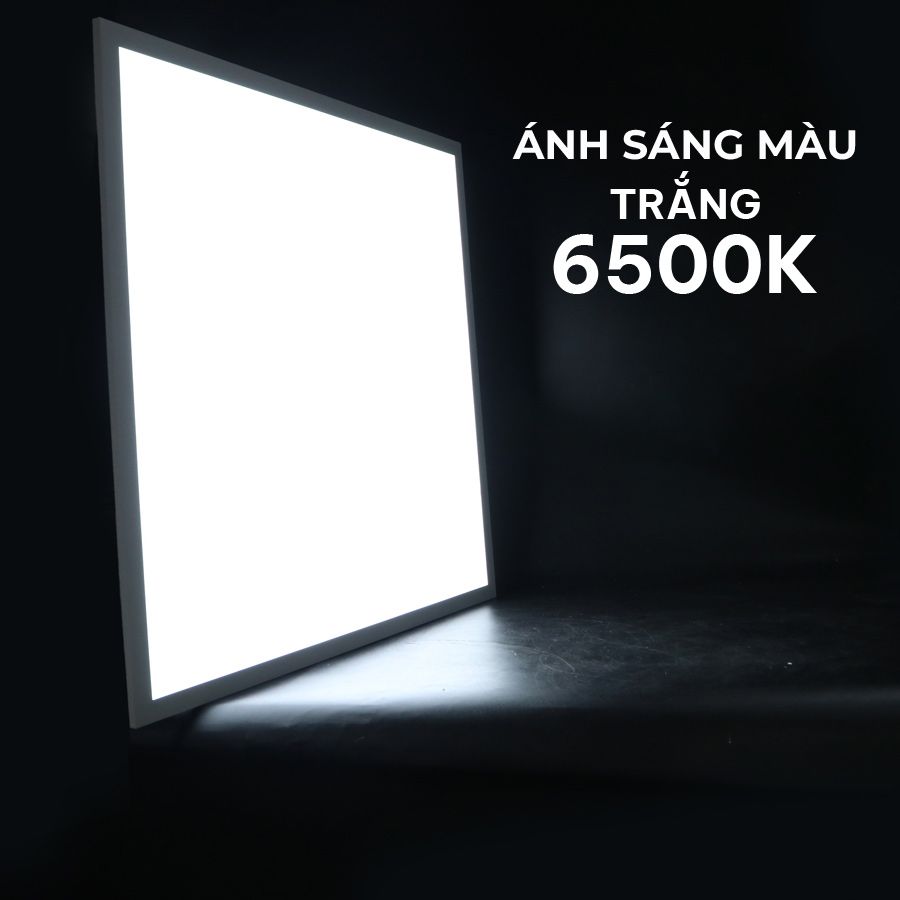  Đèn LED Backlit Panel Office 