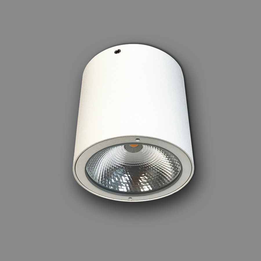 Đèn LED Downlight Trụ Trang Trí Ngoài Trời NSDL2236-76 Ánh Sáng Trắng
