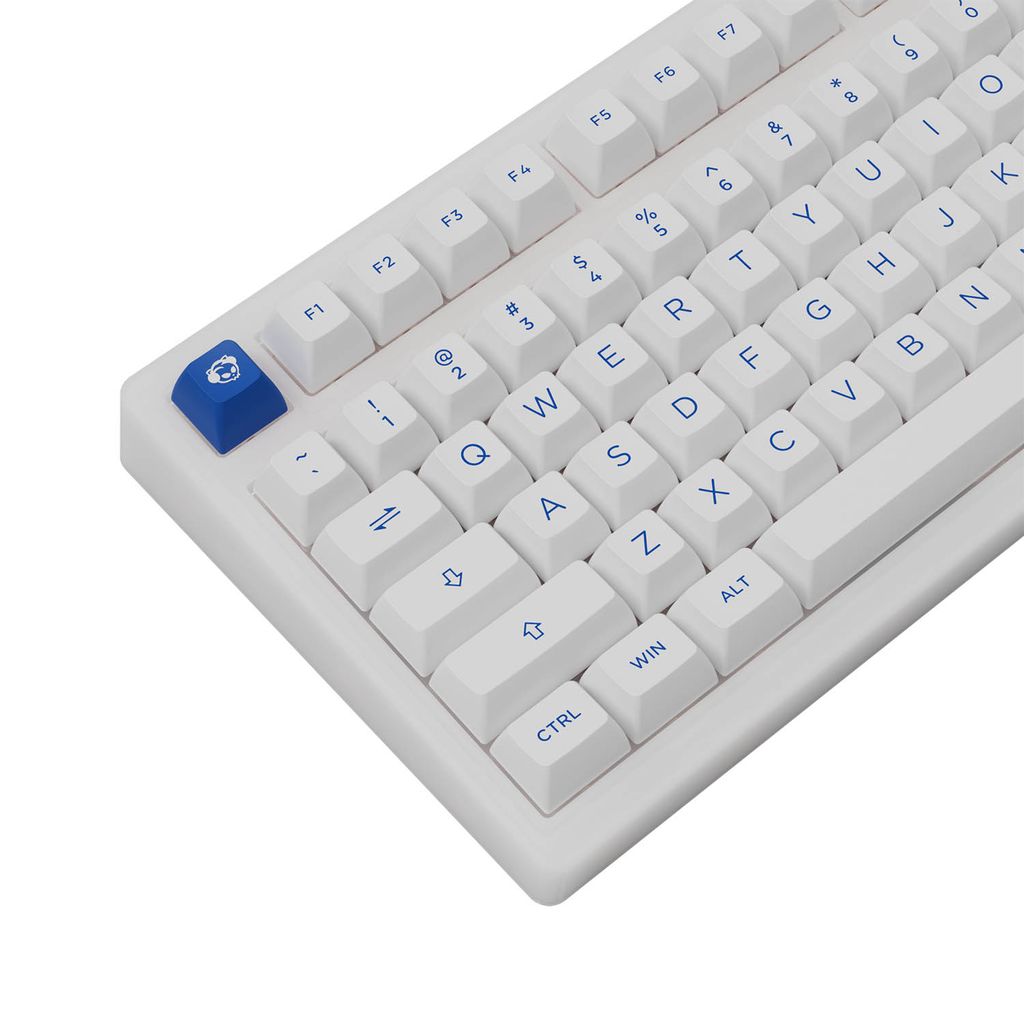 AKKO PC75B Plus /  Blue on White