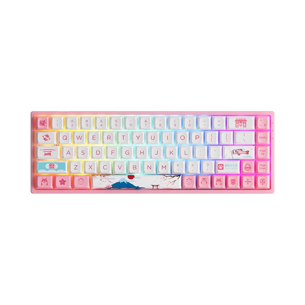 Bàn phím cơ không dây AKKO 3068B Plus World Tour Tokyo R2 ( AKKO CS Switch - Jelly Pink )