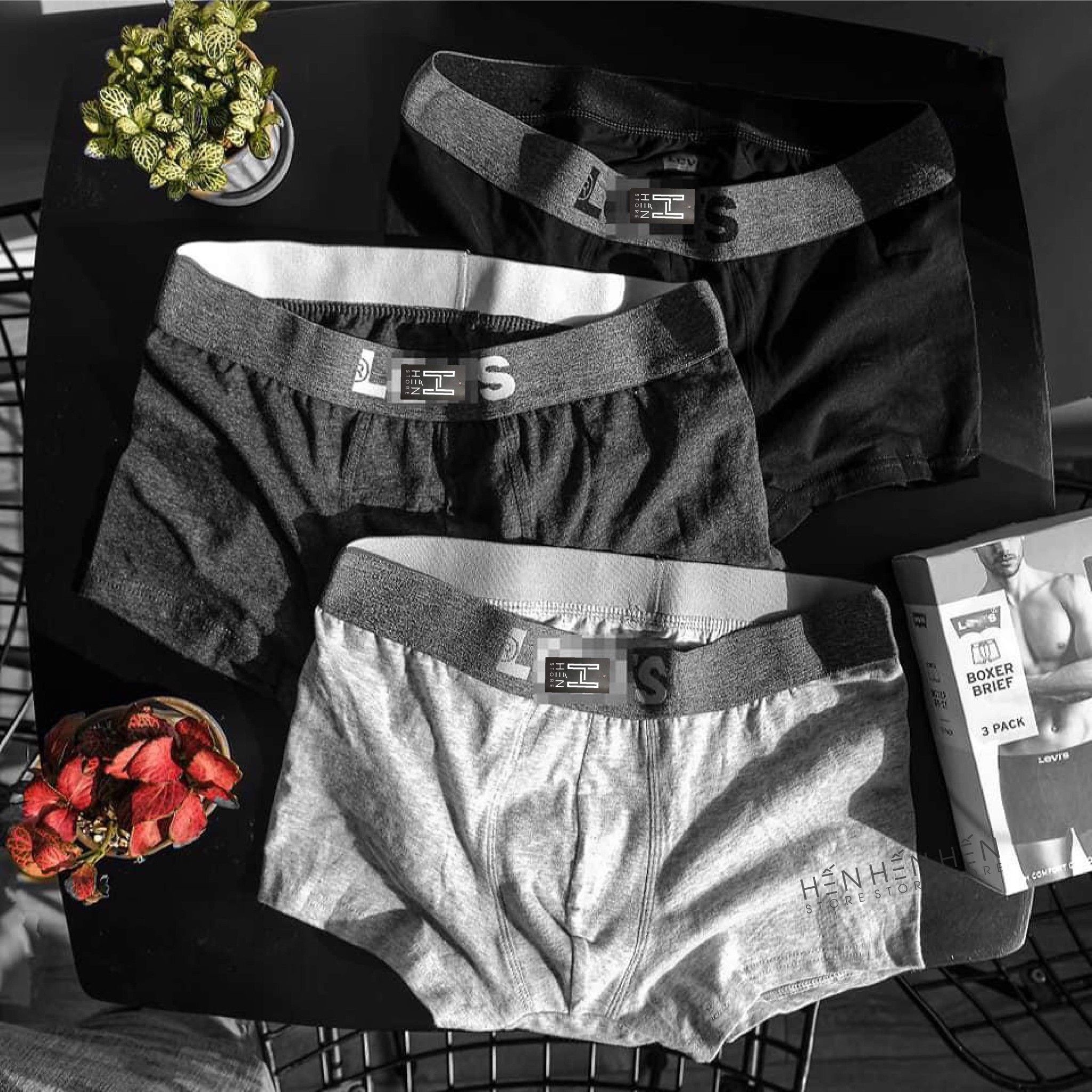 Quần boxer L.evis