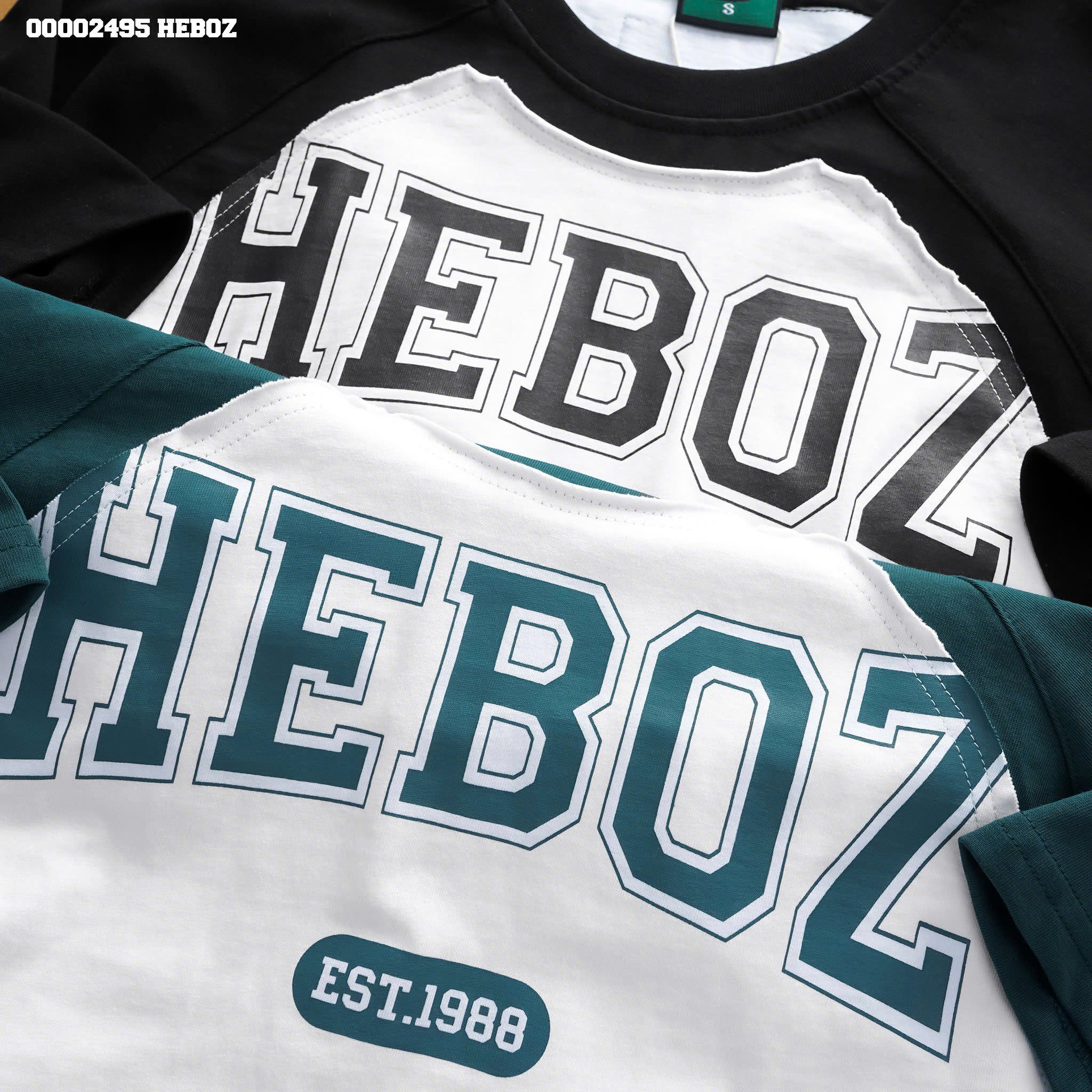 Áo thun nam Heboz raglan logo 2M - 00002495