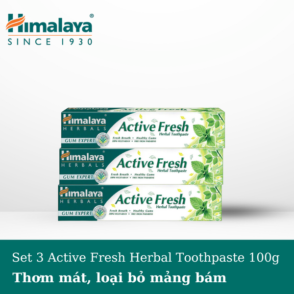 Set 3 kem đánh răng Himalaya Active Fresh Herbal Toothpaste bảo vệ nướu giúp hơi thở thơm mát 100g