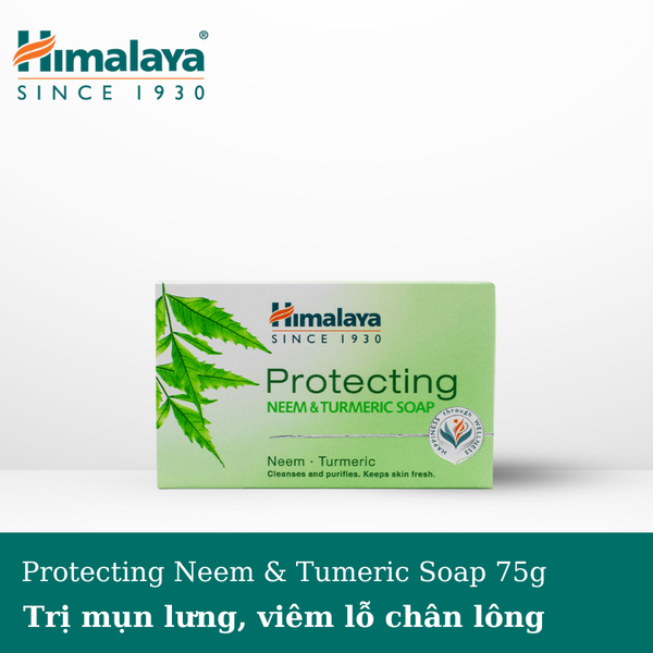 Xà phòng trị mụn lưng, viêm lỗ chân lông Himalaya neem và nghệ tây 75g