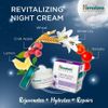 Kem dưỡng phục hồi da ban đêm Himalaya Revitalizing Night Cream
