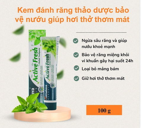 Kem đánh răng Himalaya Active Fresh Herbal Toothpaste bảo vệ nướu giúp hơi thở thơm mát