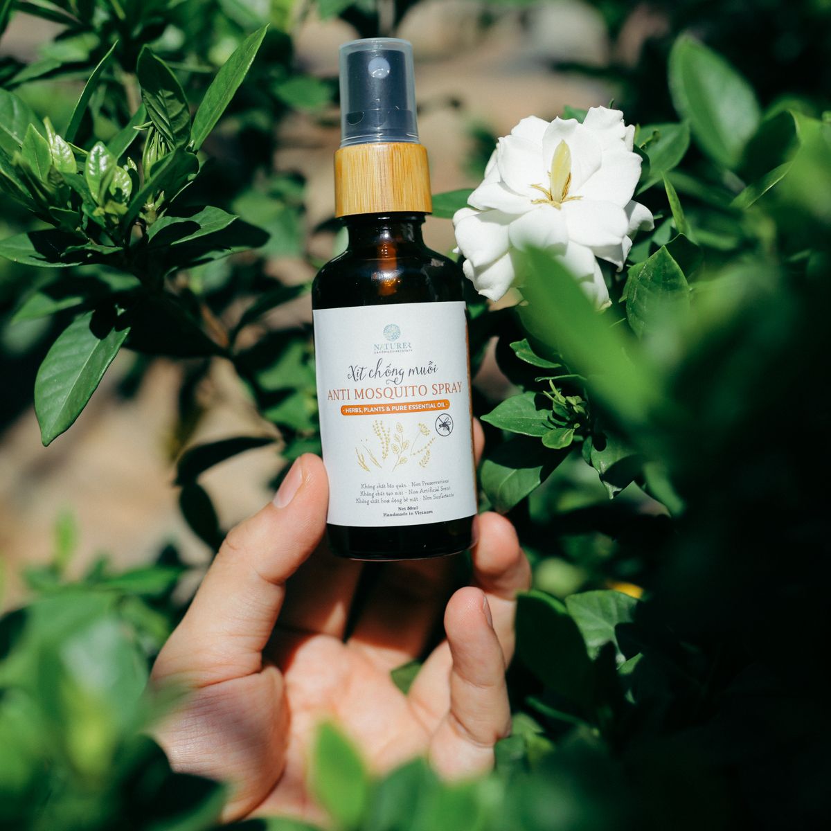 Xịt chống muỗi - Anti Mosquito Spray