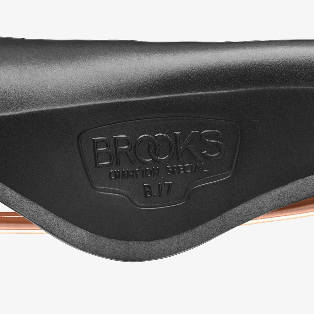 Yên xe đạp Brooks B17 Special Bike Saddle