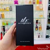 Nước hoa Burberry Mr Burberry EDT