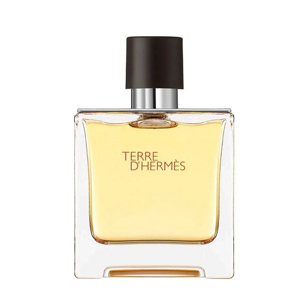 Nước Hoa Hermes Terre D'Hermès Pure Parfum
