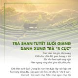 Trà Trắng Shan Tuyết Cổ Thụ W921 - lon 50g