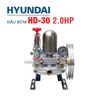 Đầu Bơm Cao Áp HYUNDAI HD-30 (2HP)