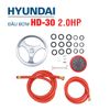 Đầu Bơm Cao Áp HYUNDAI HD-30 (2HP)