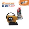 Đầu Bơm Pít Tông Sứ GENFOR GF-29C (1HP)