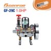 Đầu Bơm Pít Tông Sứ GENFOR GF-29C (1HP)