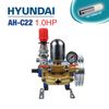 Đầu Bơm Cao Áp HYUNDAI AH-C22 (1HP)