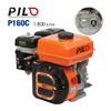 Động cơ nổ Pilo P160C