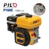 Động cơ nổ Pilo P160C