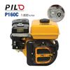 Động cơ nổ Pilo P160C