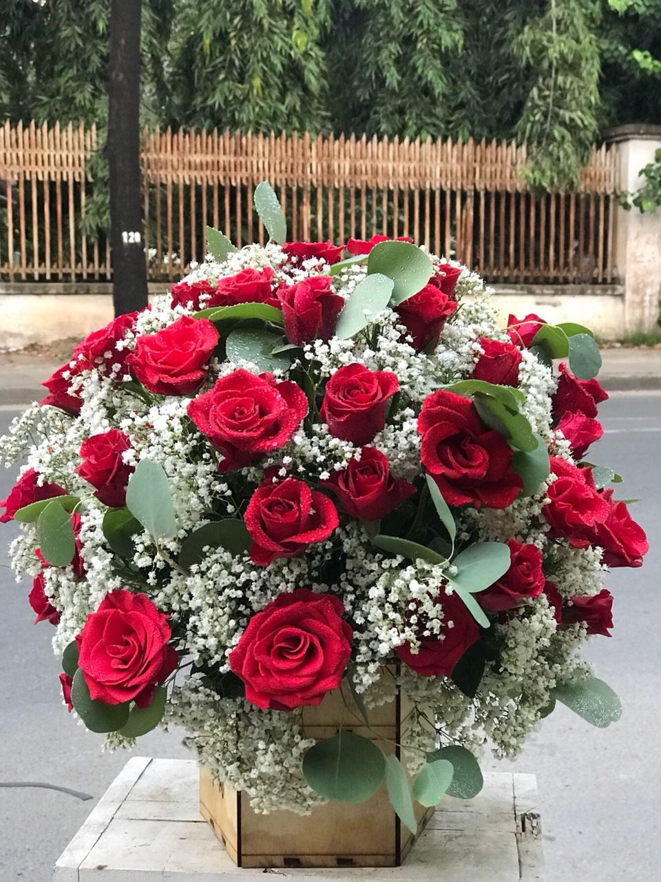 Tình yêu 390