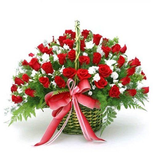 Hoa Giỏ Đẹp 310