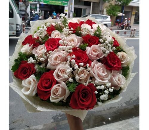Hoa Bó 256