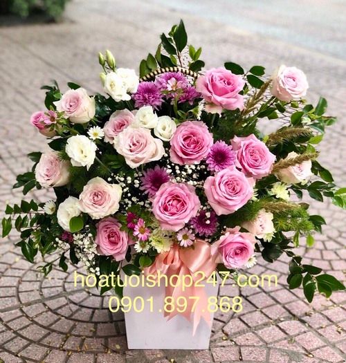 Thơ mộng 1043