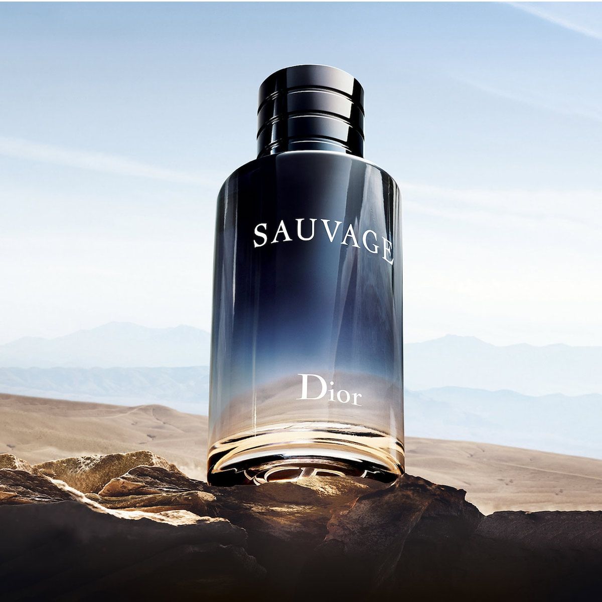  Dior Sauvage Eau de Toilette 