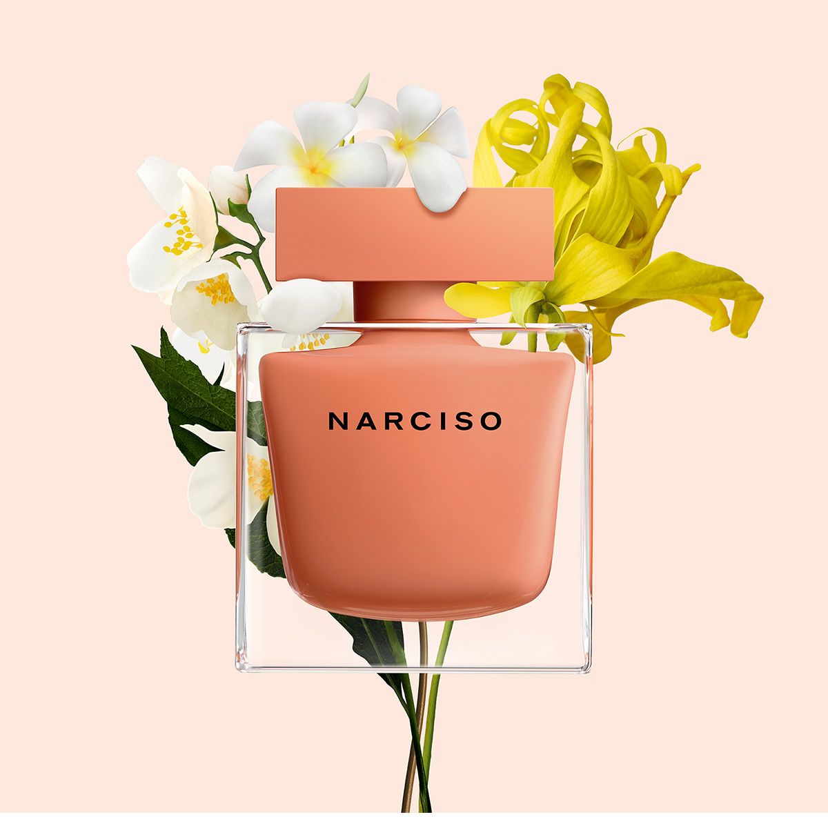  Narciso Eau de Parfum Ambrée 