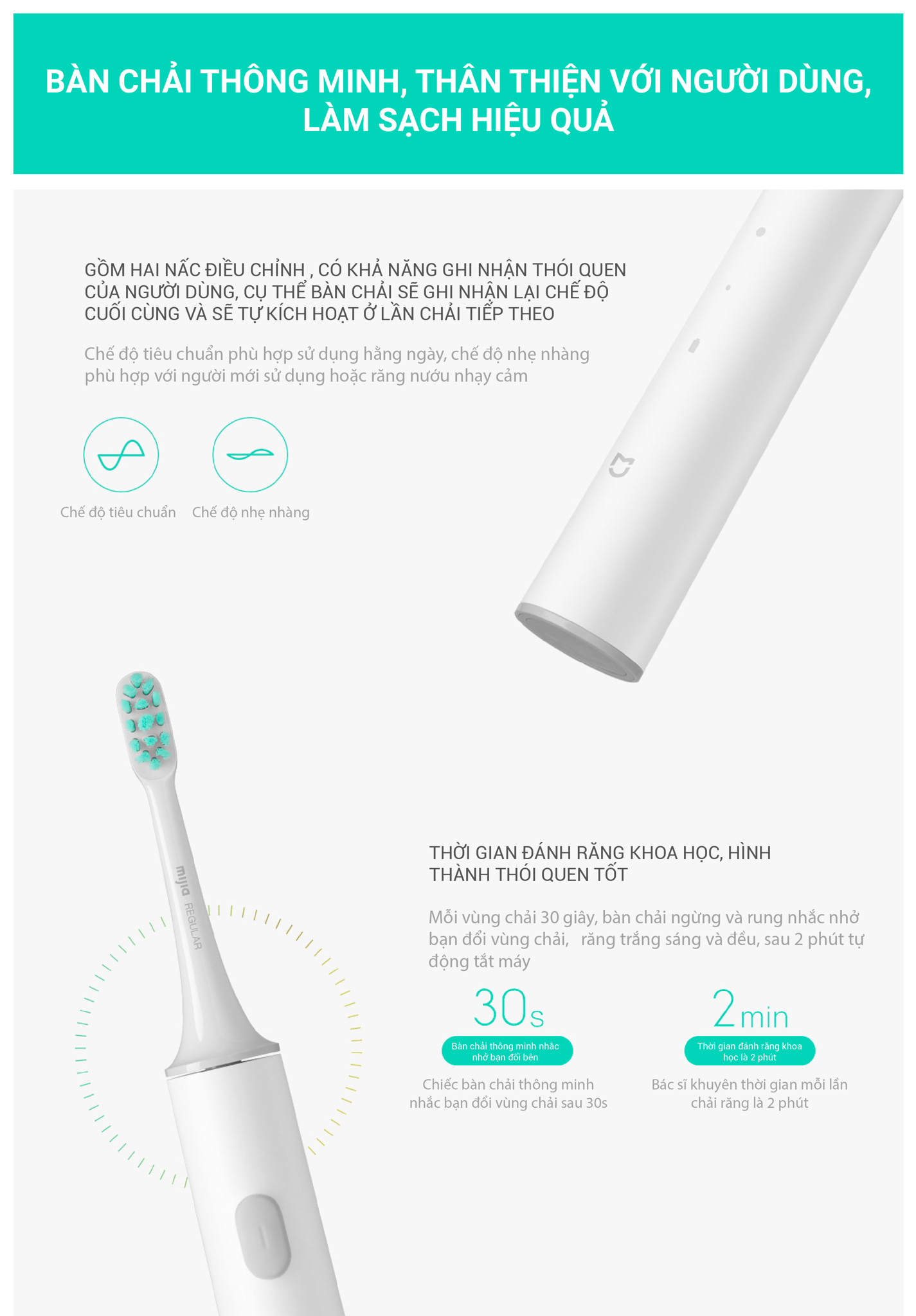 Bàn chải đánh răng điện Mi T300 Sonic Electric Toothbrush