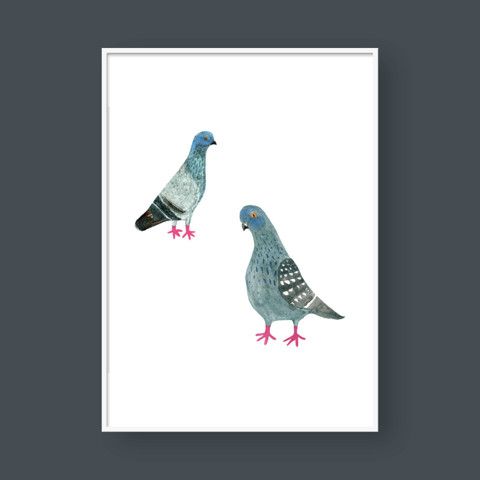 PIGEONS