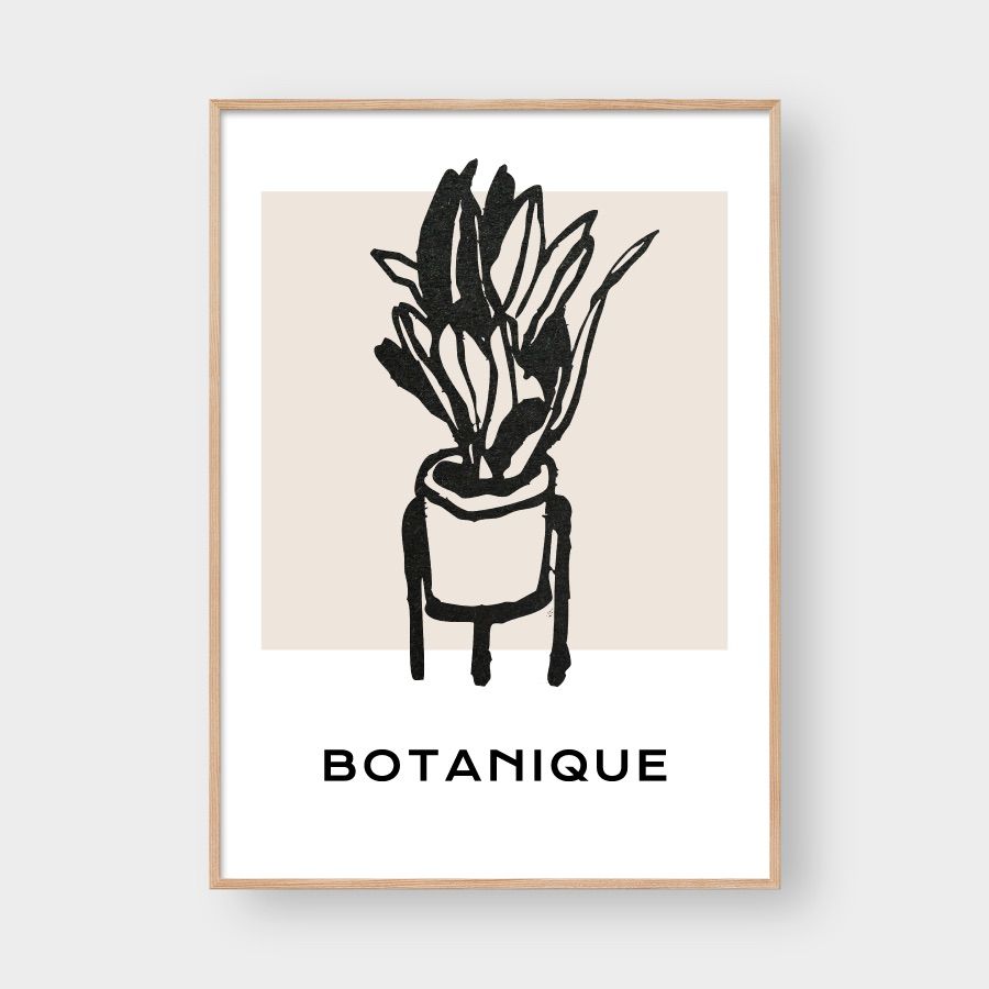 BOTANIQUE