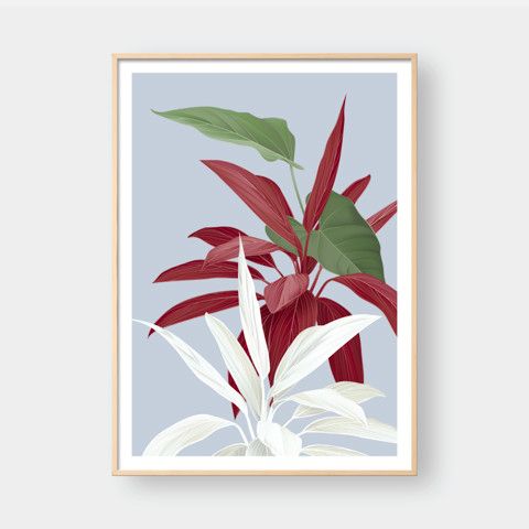 BOTANICAL NO.1