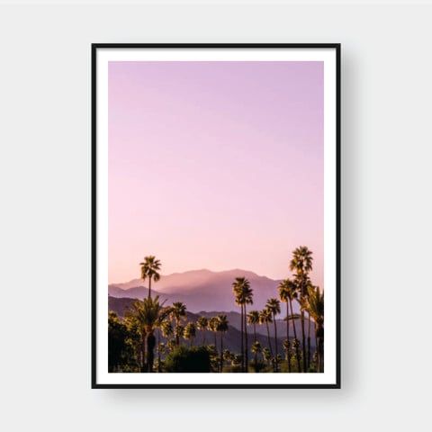 PALM TREES NO.3